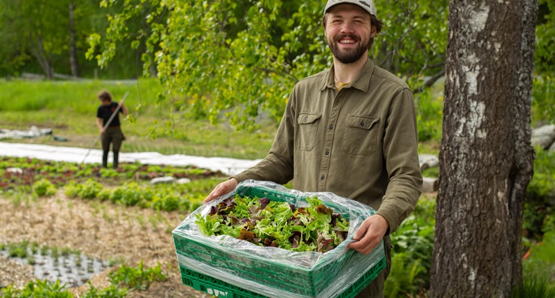 Kortreist mat fra lokale gårder